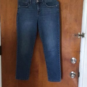 Women’s denim jeans style and co slim fit size 8P. Very gently preowned